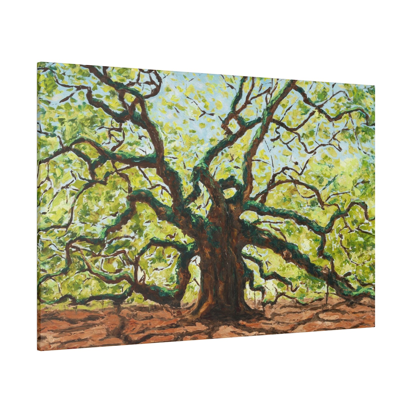Angel Oak - Print on Canvas