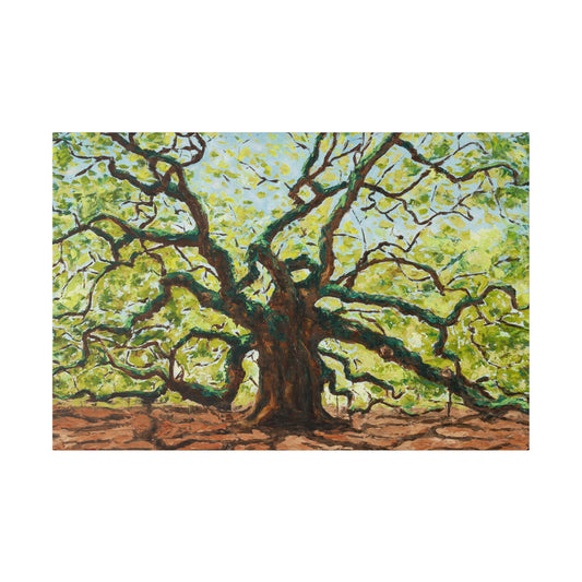Angel Oak - Print on Canvas
