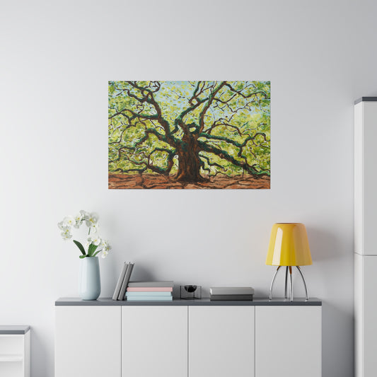 Angel Oak - Print on Canvas